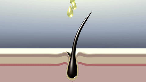 Hair Oil